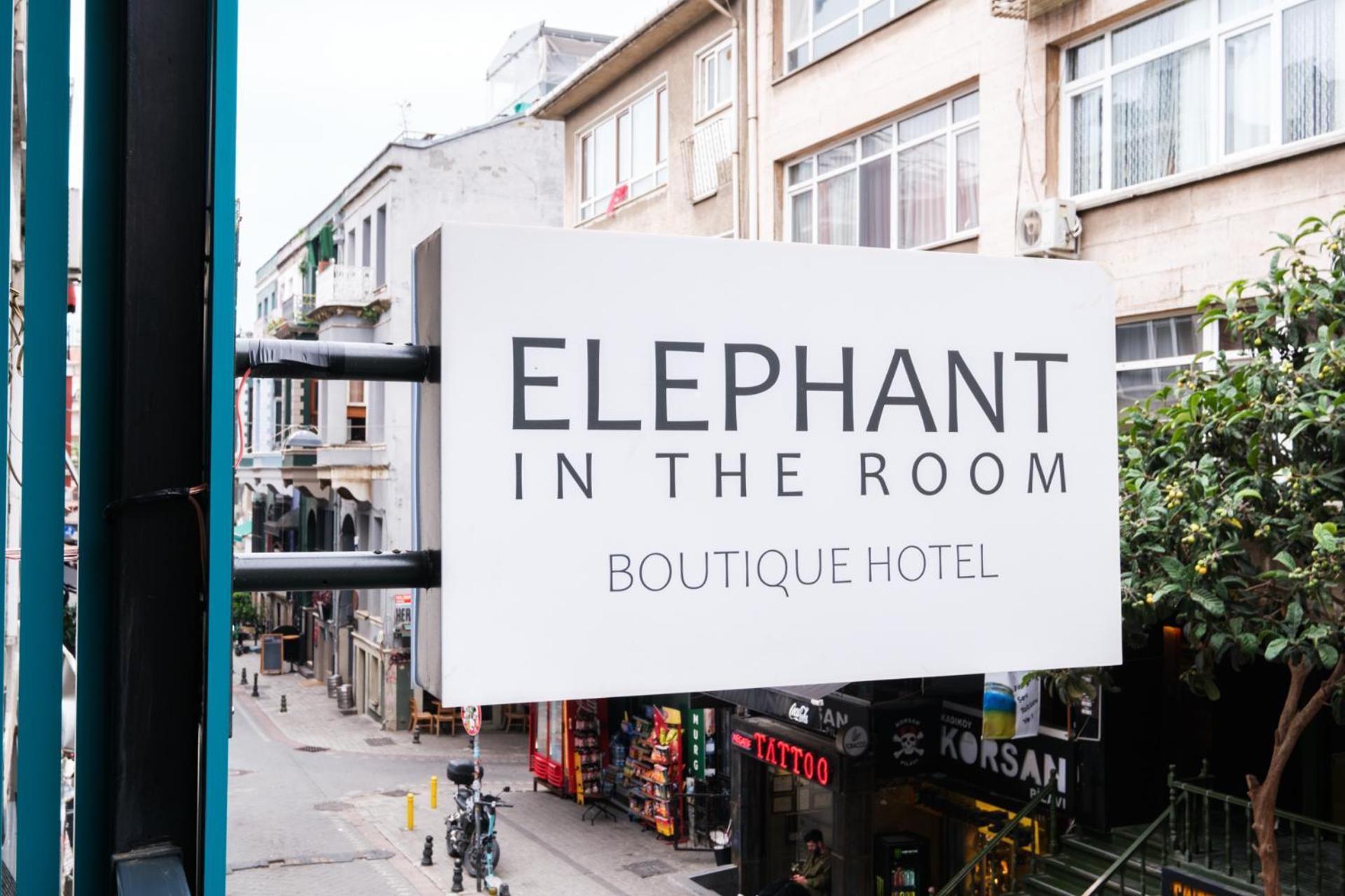 Elephant In The Room — Photos 3